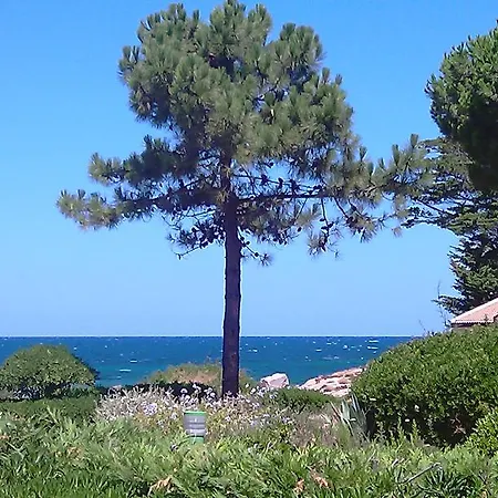 Apartment Sant Ambroggio Solanne Lumio (Corsica)